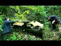 Life With Nature || Video - 17 || Searching Jungle Mushroom for curry ||