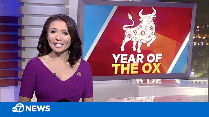 ABC7 News anchor Dion Lim calls for unity this Lunar New Year - DayDayNews