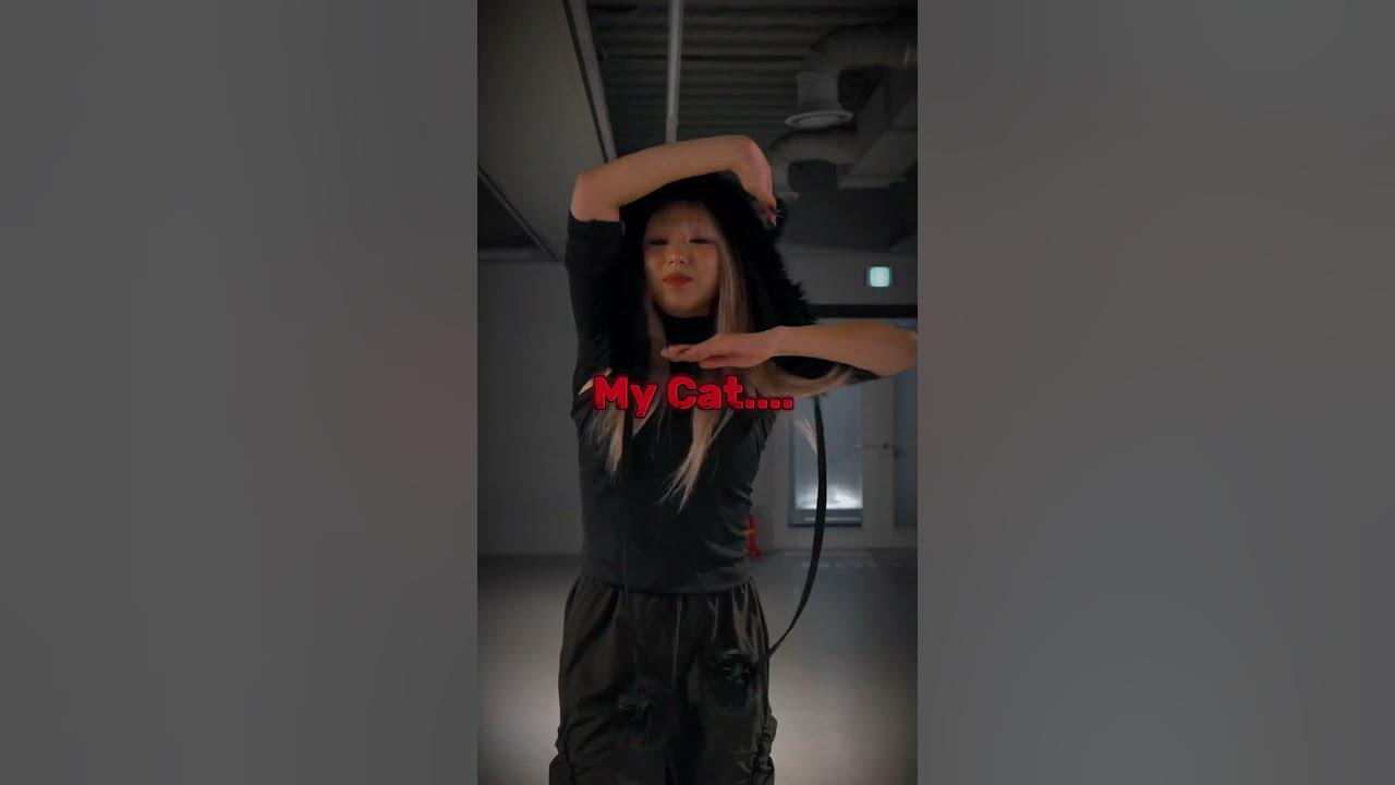 Hold on tight is the hardest dance #aespa #leeyoungji #holdontight #mycat #kpop