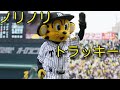 2019年【阪神タイガース】を盛り上げるトラッキー♩ TO-LUCKY