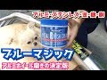 ホイールやマフラーの磨きといえば《ブルーマジック》！！くすみが驚くほど落ちる◎【Blue Magic】