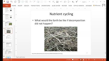chapter 1- introduction to sustainability (environmental sustainability course)