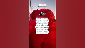 عبد الرحمن مسعدما تيسر من سورة مريم#قران_كريم #عبدالرحمن_مسعد #quran