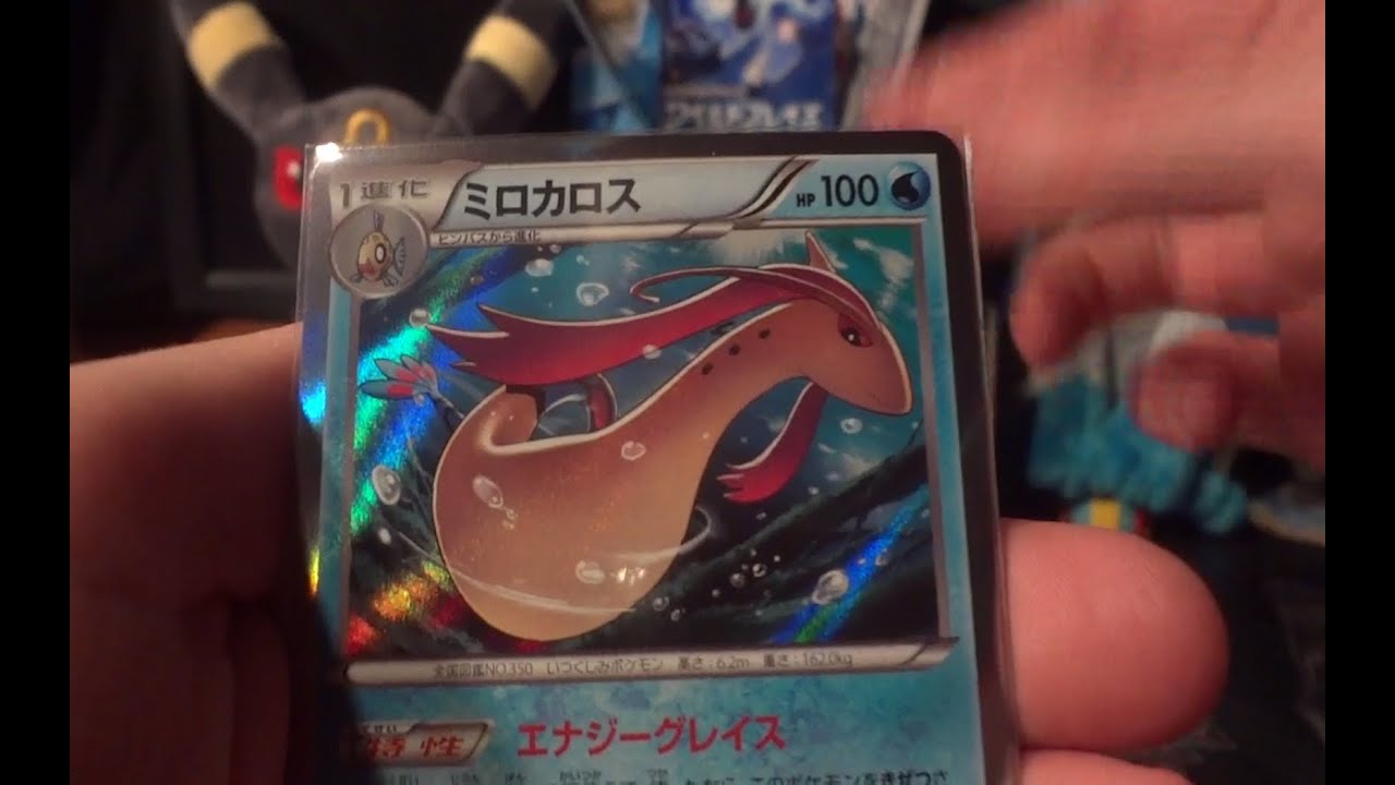 Wild Blaze Booster Box Opening! (Box 4 of 20!)