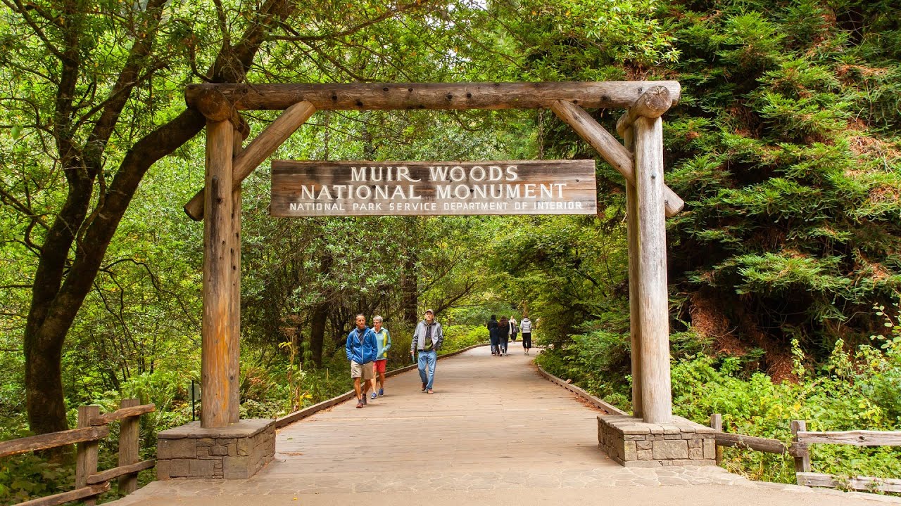 Muir Woods National Monument Tour from San Francisco