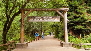 Muir Woods National Monument Tour from San Francisco