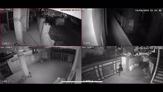 Rottweiler Vs Robbers Cctv Footage