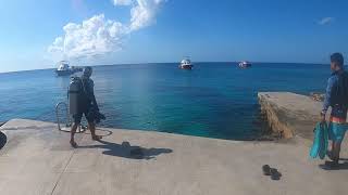 Fun Dive![The Mermaid]@Sunset House,Grand Cayman