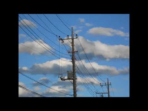 「やすらぎの刻　道」主題歌【進化樹】cover ひめ