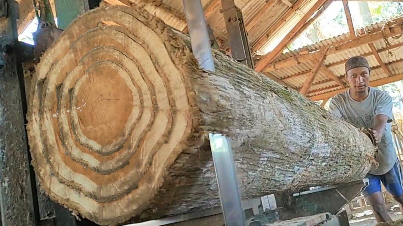 sawing old teak logs full of beautiful fibers into super blocks at the ...