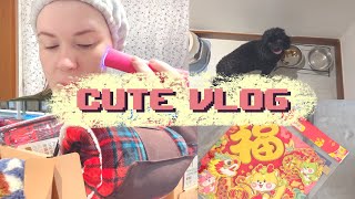 Cute VLOG #77⛅️|Подготовка к китайскому НГ🏮|Декор и закупки🛍️