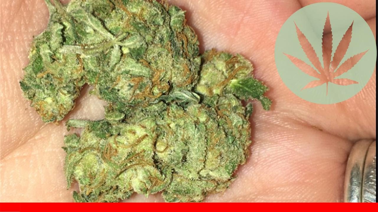 Big Bang - All About This Strain