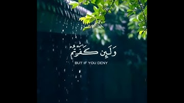 و لئن شكرتم لأزيدنكم#سورة إبراهيم