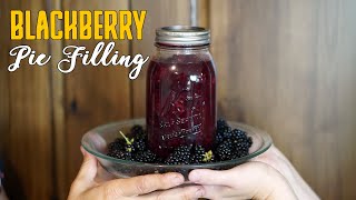 HOW TO MAKE HOMEMADE BLACKBERRY PIE | BERRY PIE RECIPE FROM SCRATCH