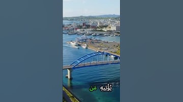 سورة المائدة وكانك تسمعها لأو.ل مر.ة 💮💜..🌹💟💘💔،🌸بصوت الشيخ حمزة مدبو.ح💓💛💙❤️؛،🌼💔🌷❣️