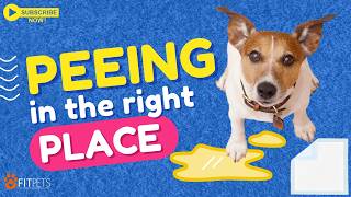 Best Puppy Pee Pads | Secret Weapon for Potty Training of #puppies & #dogs #petcare