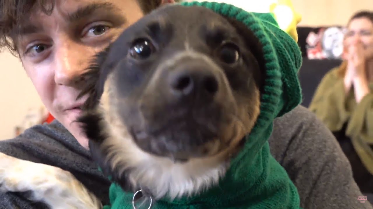 Crankgameplays Stream 13 (with Spencer cameo!) YouTube