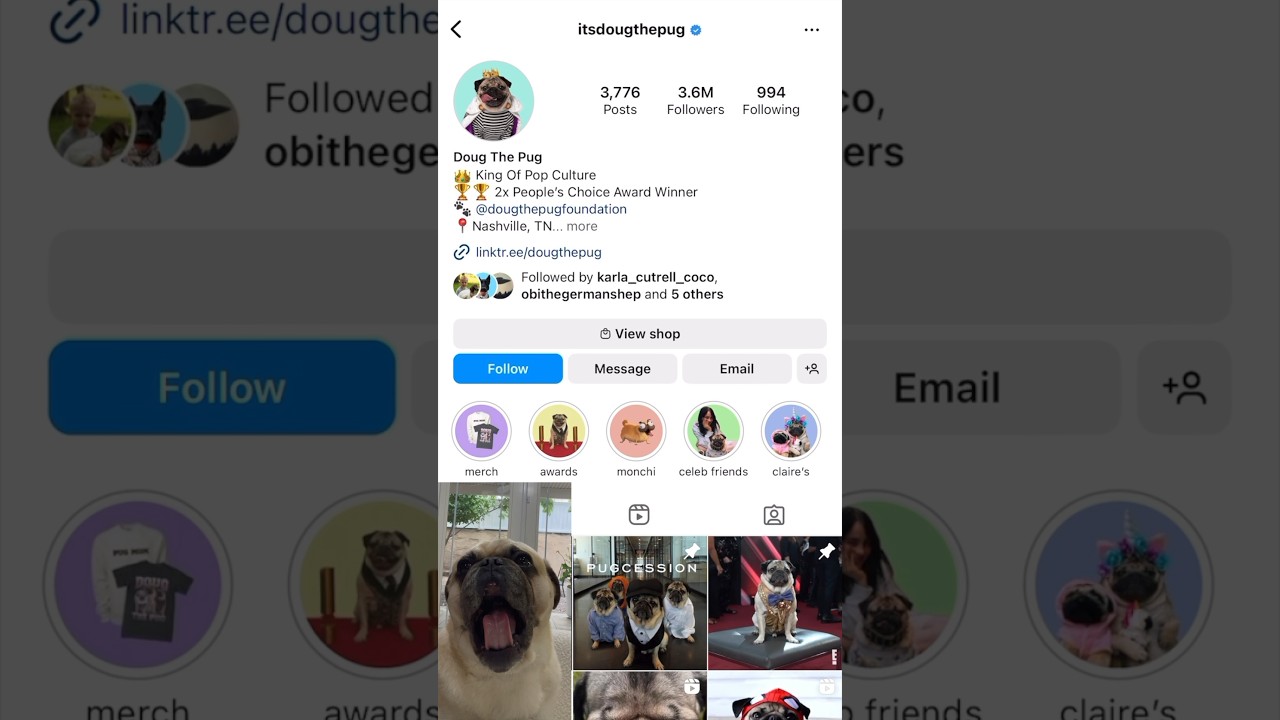 Bean the Pug Reacts to Doug The Pug!