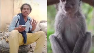 banyaknya gayanya baru jeleknya mukanya
