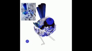 Blue Bird - ProCreate Timelapse