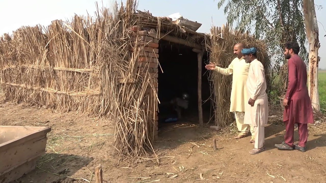 Jhuggi Rent Pe  | Airport Helmet 1122  | New Punjabi Comedy | Funny clip | K&A TV