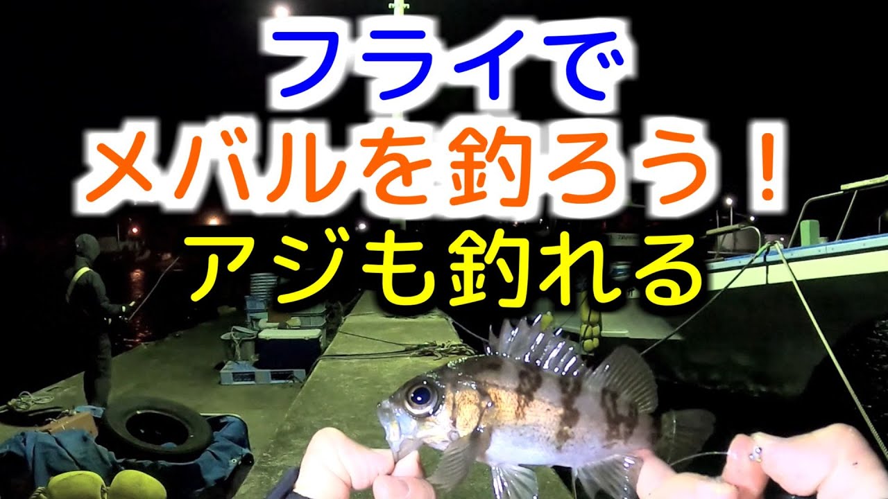 たまには海釣 フライでメバルを釣ろう アジも釣れる Youtube