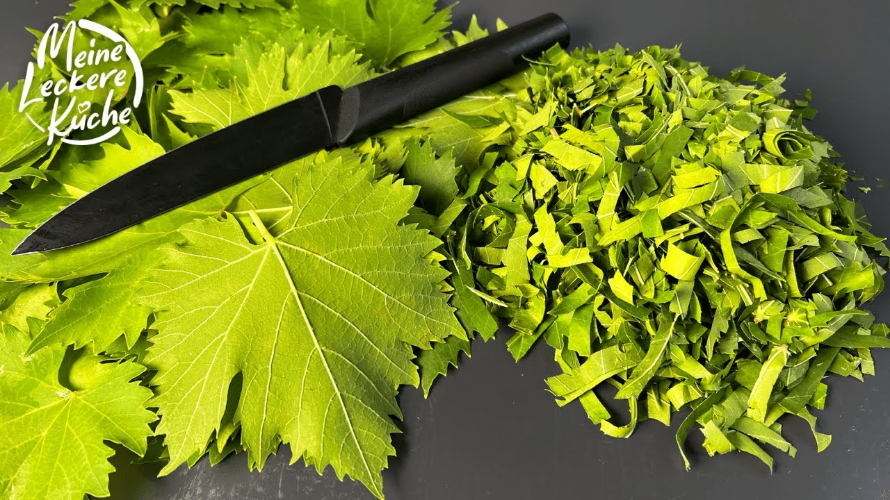 У меня есть для вас легендарный рецепт виноградного листа! Просто и вкусно!