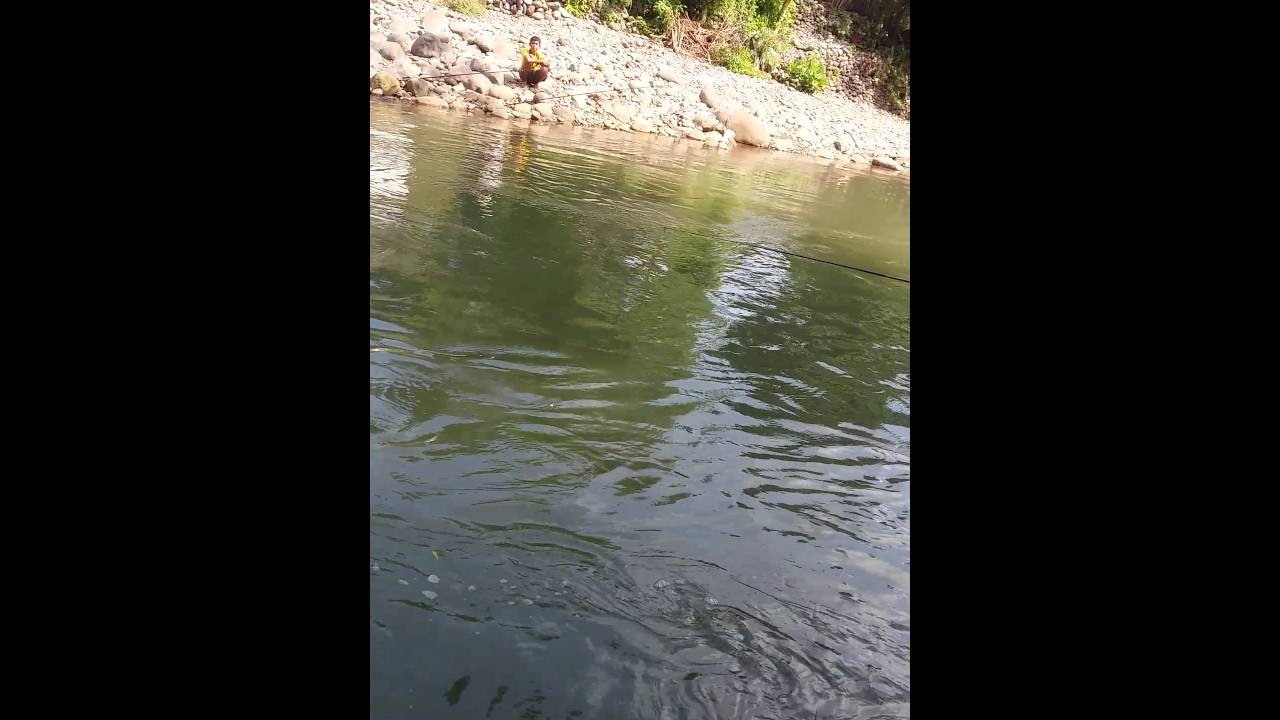 Mancing Ikan Nilem Di Sungai Ciliwung Kprambutan Bogor YouTube