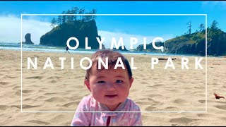 Camping at Olympic National Park, Washington (Second Beach)