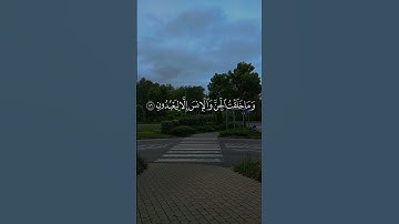 *وذكر فإن الذكر تنفع المؤمنين* #تلاوة_خاشعة #المصحف #خشوع#ايمان #القرآن_الكريم