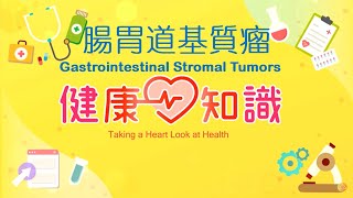 腸胃道基質瘤 Gastrointestinal Stromal Tumors 2【健康心知識】許添盛 x 馬心怡 (中英字幕/Chinese English Subtitles)