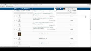 How to use the Brightspace Email Tool