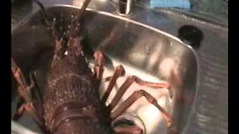 The Crayfish Cooking Incident