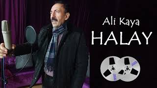 Ali Kaya-Gül Nare Halay Remix Resimi