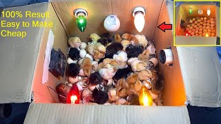 How to make Egg Incubator at Home By using Cardboard Box - Hatch 100 Chicks  | Simple and Easy