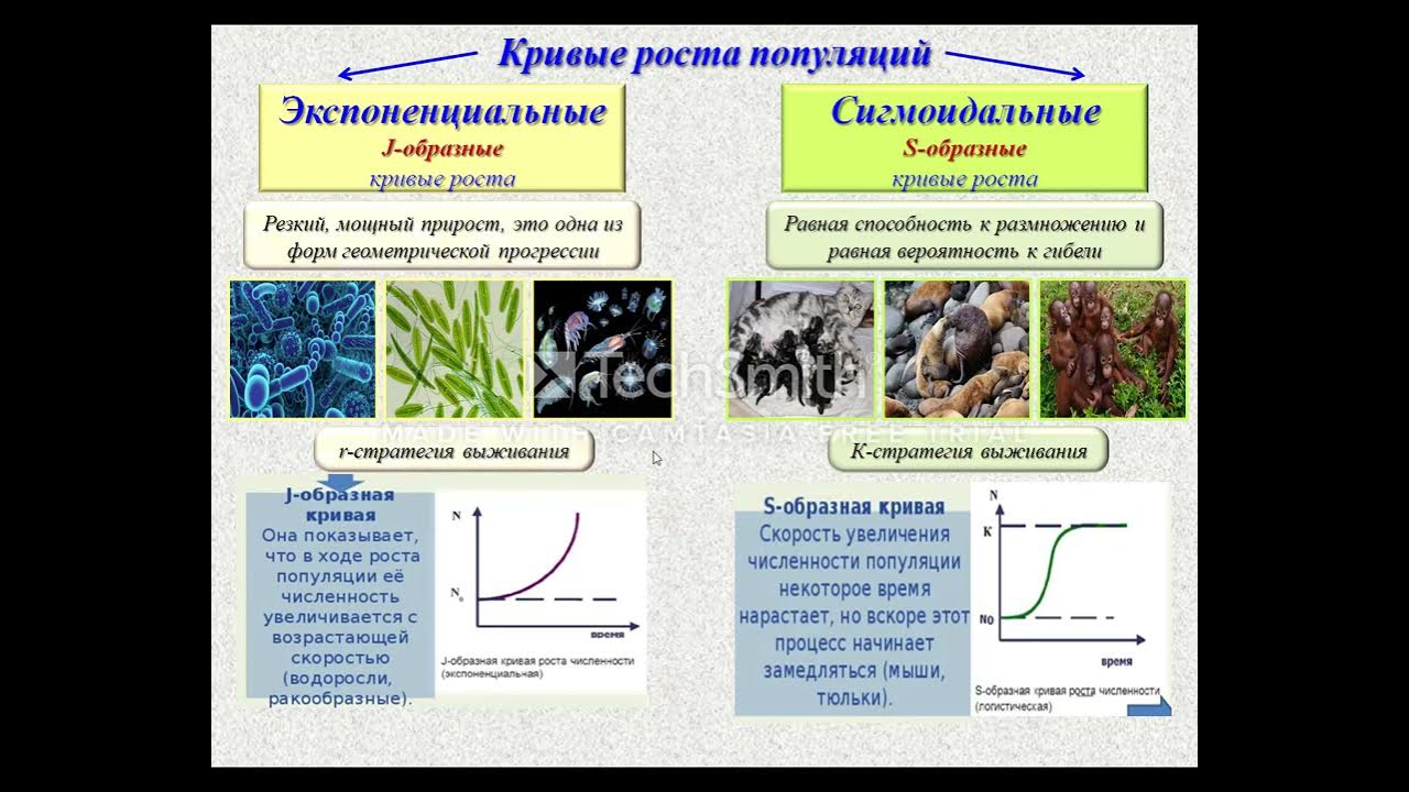 Популяция биология тест