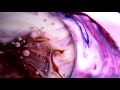 4k Macro Video: Color Changing Milk / Макро: Цветное Молоко