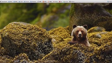 【Rails實戰項目一】03 自己動手實現一個Blog   文章列表 mp4