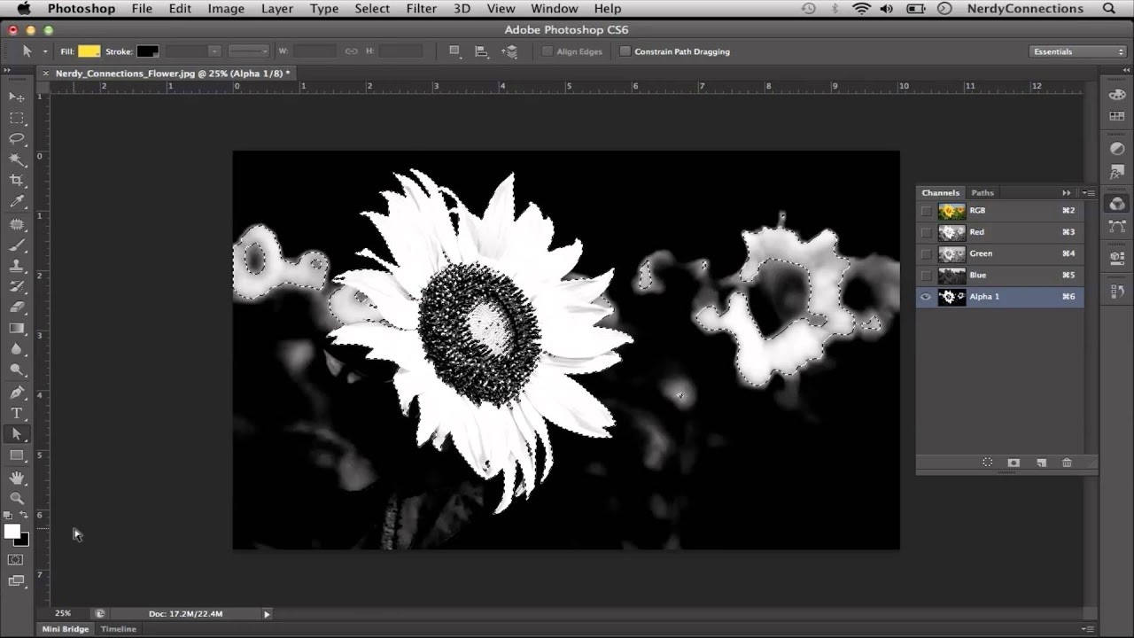 How To Color Photos Of Flowers Digital Pictures Graphics YouTube how-to-color-photos-of-flowers-digital-pictures-graphics-youtube