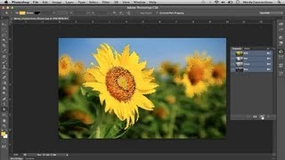 How to Color Photos of Flowers : Digital Pictures & Graphics screenshot 5