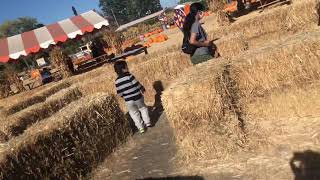 Toddler hay bale maze