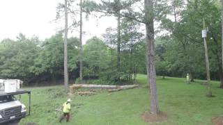 W A Kendall - Tree Cutting Project #2 - DJI Phantom 3