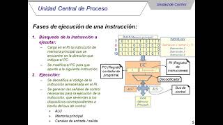 La CPU: UC, ALU y las fases de ejecución de una instrucción