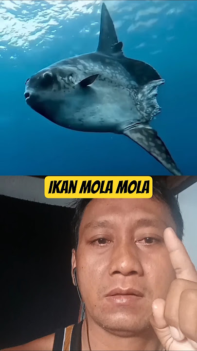 #shortvideo #viralvideo