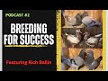 How To Successfully Breed Pigeons - [Rich Bailin]