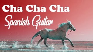 Beautiful Animals Relax - Spanish Guitar - Cha Cha Cha - Rumba - Mambo Music 2024