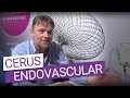 Providing the tools for the interventional neuroradiologist – Cerus Endovascular