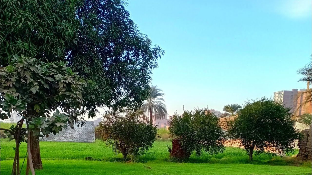 اللهم إن كان رزقي فى السماء فأنزله وان كان فى الارض فأخرجه