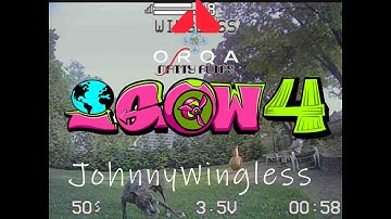 IGOW 4 Week 5 - Orqa Mattyflips