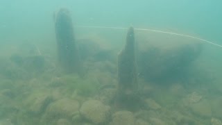 琵琶湖底に江戸期建物跡 水中遺跡で初、地震で水没か